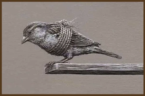 Комплекс вины