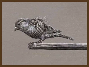 Մեղքի բարդույթ