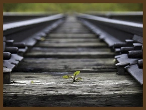 ՊԱՐՈՂՆ Ու ՈւՍԱՆՈՂԸ