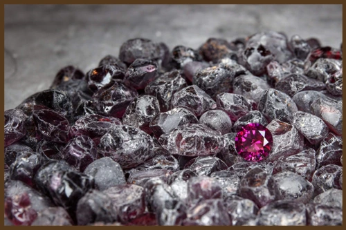 КРОВЬ НЕВИННЫХ