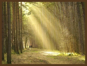 МЕДА БОЧКА И ХЛЕБА КУСОЧЕК