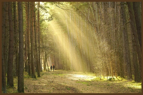 ՄԻ ՏԱԿԱՌ ՄԵՂՐ ԵՎ ՄԻ ԿՏՈՐ ՀԱՑ