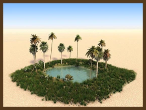 ОАЗИС ИЛИ ПУСТЫНЯ