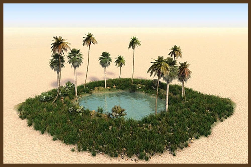 ОАЗИС ИЛИ ПУСТЫНЯ