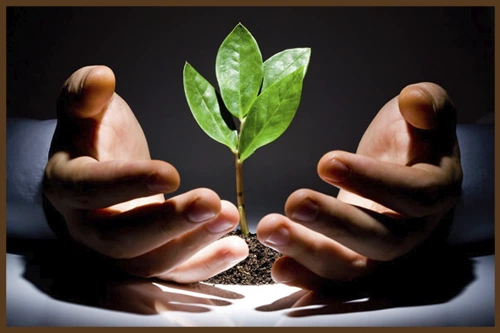 Առակ «Վթար էլեկտրոցանցերում»