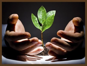 Притча «Авария электросетей»