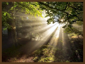 ЛЕСОВИК И СВЕСЛАВА