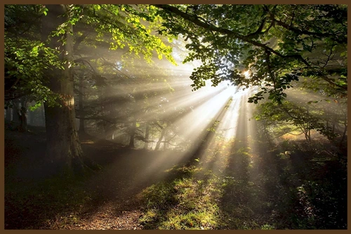 ԱՆՏԱՌԱԿՅԱՑՆ Ու ՍՎԵՍԼԱՎԱՆ