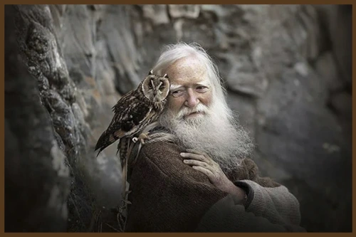 Притча «Мудрец и филин»