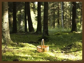 Притча «Два грибника»